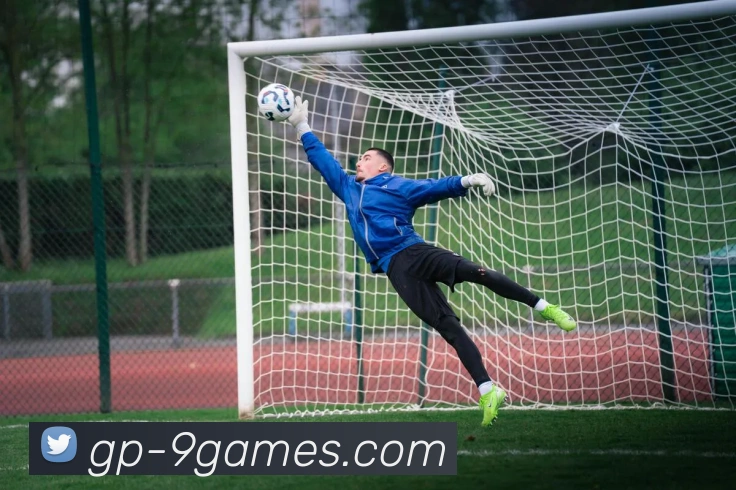 九游账号官网服务体系